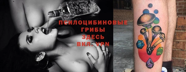 PSILOCYBIN Верхний Тагил