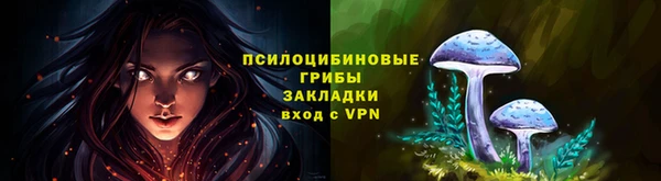 гидропоника Бородино