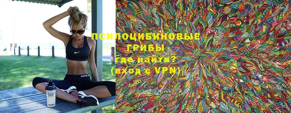 PSILOCYBIN Верхний Тагил