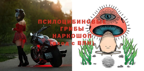 PSILOCYBIN Верхний Тагил