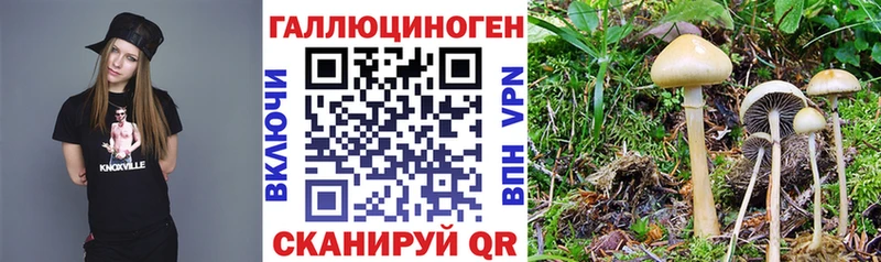 Галлюциногенные грибы мухоморы  ОМГ ОМГ сайт  Колпашево  цены  